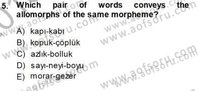 Türkçe Ses Ve Biçim Bilgisi Dersi 2013 - 2014 Yılı (Final) Dönem Sonu Sınav Soruları 5. Soru