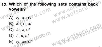 Türkçe Ses Ve Biçim Bilgisi Dersi Ara Sınavı Deneme Sınav Soruları 12. Soru