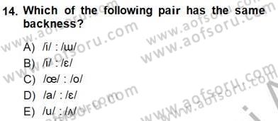 Türkçe Ses Ve Biçim Bilgisi Dersi Ara Sınavı Deneme Sınav Soruları 14. Soru