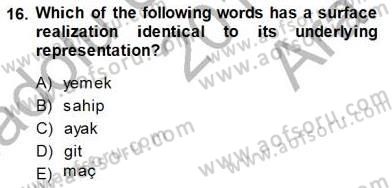 Türkçe Ses Ve Biçim Bilgisi Dersi Ara Sınavı Deneme Sınav Soruları 16. Soru