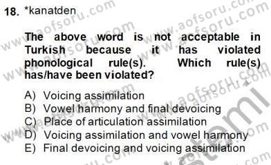 Türkçe Ses Ve Biçim Bilgisi Dersi Ara Sınavı Deneme Sınav Soruları 18. Soru