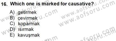 Türkçe Ses Ve Biçim Bilgisi Dersi 2014 - 2015 Yılı (Final) Dönem Sonu Sınav Soruları 16. Soru