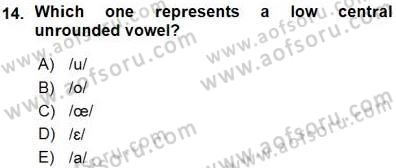 Türkçe Ses Ve Biçim Bilgisi Dersi Ara Sınavı Deneme Sınav Soruları 14. Soru