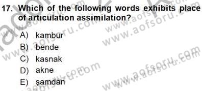 Türkçe Ses Ve Biçim Bilgisi Dersi Ara Sınavı Deneme Sınav Soruları 17. Soru