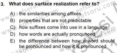 Türkçe Ses Ve Biçim Bilgisi Dersi Ara Sınavı Deneme Sınav Soruları 3. Soru