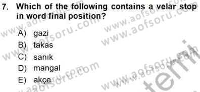 Türkçe Ses Ve Biçim Bilgisi Dersi Ara Sınavı Deneme Sınav Soruları 7. Soru