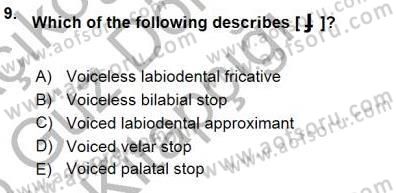 Türkçe Ses Ve Biçim Bilgisi Dersi Ara Sınavı Deneme Sınav Soruları 9. Soru