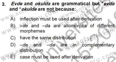 Türkçe Ses Ve Biçim Bilgisi Dersi 2015 - 2016 Yılı (Final) Dönem Sonu Sınav Soruları 3. Soru