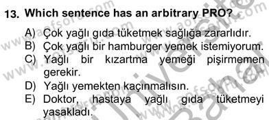 Türkçe Tümce Bilgisi Ve Anlambilim Dersi 2012 - 2013 Yılı (Vize) Ara Sınav Soruları 13. Soru