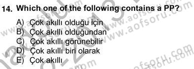 Türkçe Tümce Bilgisi Ve Anlambilim Dersi 2012 - 2013 Yılı (Vize) Ara Sınavı 14. Soru