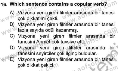 Türkçe Tümce Bilgisi Ve Anlambilim Dersi 2012 - 2013 Yılı (Vize) Ara Sınav Soruları 16. Soru
