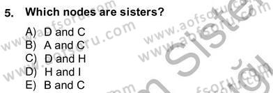 Türkçe Tümce Bilgisi Ve Anlambilim Dersi 2012 - 2013 Yılı (Vize) Ara Sınav Soruları 5. Soru