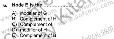 Türkçe Tümce Bilgisi Ve Anlambilim Dersi 2012 - 2013 Yılı (Vize) Ara Sınav Soruları 6. Soru