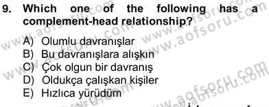 Türkçe Tümce Bilgisi Ve Anlambilim Dersi 2012 - 2013 Yılı (Vize) Ara Sınav Soruları 9. Soru