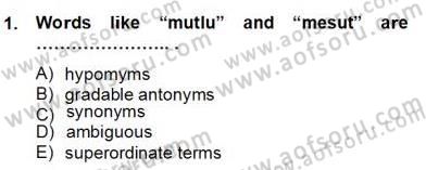 Türkçe Tümce Bilgisi Ve Anlambilim Dersi 2012 - 2013 Yılı (Final) Dönem Sonu Sınav Soruları 1. Soru