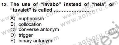 Türkçe Tümce Bilgisi Ve Anlambilim Dersi 2012 - 2013 Yılı (Final) Dönem Sonu Sınav Soruları 13. Soru