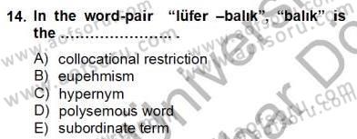 Türkçe Tümce Bilgisi Ve Anlambilim Dersi 2012 - 2013 Yılı (Final) Dönem Sonu Sınav Soruları 14. Soru