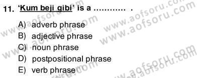Türkçe Tümce Bilgisi Ve Anlambilim Dersi 2013 - 2014 Yılı (Vize) Ara Sınav Soruları 11. Soru