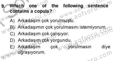 Türkçe Tümce Bilgisi Ve Anlambilim Dersi 2014 - 2015 Yılı (Vize) Ara Sınav Soruları 9. Soru