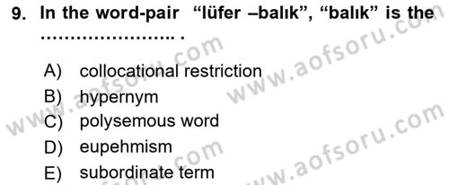 Türkçe Tümce Bilgisi Ve Anlambilim Dersi 2015 - 2016 Yılı Tek Ders Sınav Soruları 9. Soru