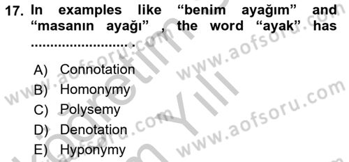 Türkçe Tümce Bilgisi Ve Anlambilim Dersi 2016 - 2017 Yılı 3 Ders Sınav Soruları 17. Soru