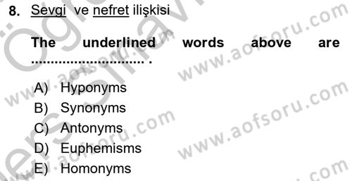 Türkçe Tümce Bilgisi Ve Anlambilim Dersi 2016 - 2017 Yılı 3 Ders Sınav Soruları 8. Soru