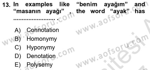Türkçe Tümce Bilgisi Ve Anlambilim Dersi 2016 - 2017 Yılı (Final) Dönem Sonu Sınav Soruları 13. Soru