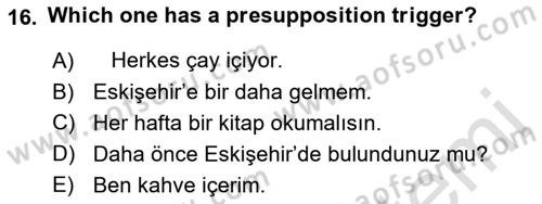 Türkçe Tümce Bilgisi Ve Anlambilim Dersi 2016 - 2017 Yılı (Final) Dönem Sonu Sınav Soruları 16. Soru