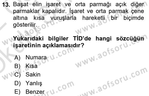 Türk İşaret Dili Dersi 2021 - 2022 Yılı Yaz Okulu Sınavı 13. Soru