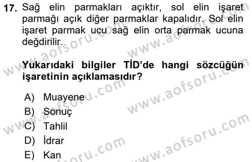 Türk İşaret Dili Dersi 2023 - 2024 Yılı Yaz Okulu Sınav Soruları 17. Soru