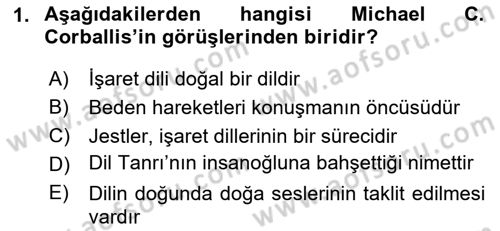 Türk İşaret Dili Dersi 2024 - 2025 Yılı (Vize) Ara Sınav Soruları 1. Soru