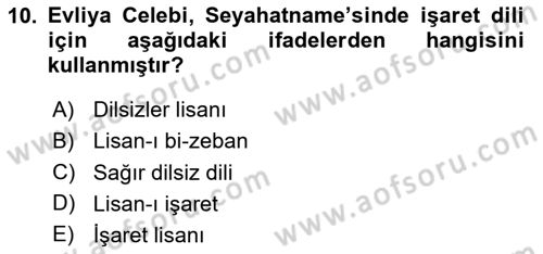Türk İşaret Dili Dersi 2024 - 2025 Yılı (Vize) Ara Sınav Soruları 10. Soru