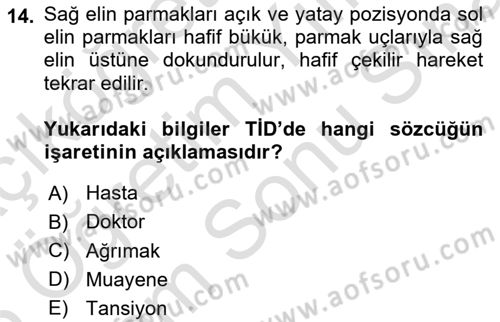 Türk İşaret Dili Dersi 2024 - 2025 Yılı (Final) Dönem Sonu Sınav Soruları 14. Soru