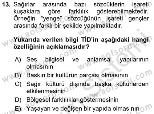 Türk İşaret Dili Dersi 2025 - 2026 Yılı (Vize) Ara Sınav Soruları 13. Soru