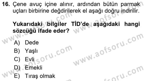 Türk İşaret Dili Dersi 2025 - 2026 Yılı (Vize) Ara Sınav Soruları 16. Soru