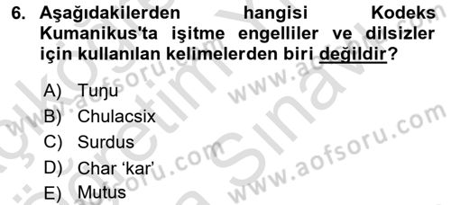 Türk İşaret Dili Dersi 2025 - 2026 Yılı (Vize) Ara Sınav Soruları 6. Soru