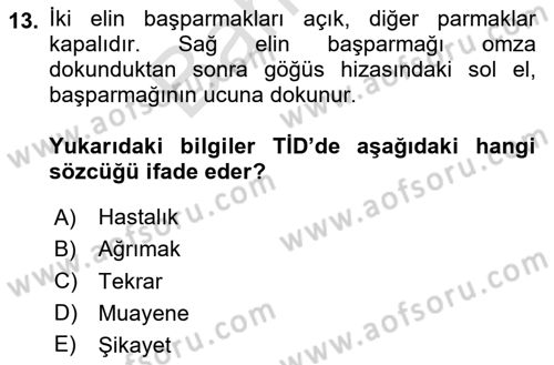 Türk İşaret Dili Dersi 2025 - 2026 Yılı (Final) Dönem Sonu Sınav Soruları 13. Soru