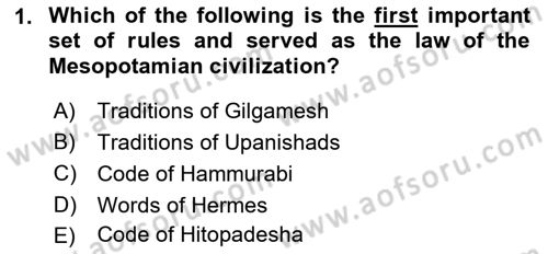 Introduction to World Civilization Dersi Ara Sınavı Deneme Sınav Soruları 1. Soru