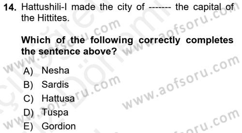 Introduction to World Civilization Dersi Ara Sınavı Deneme Sınav Soruları 14. Soru