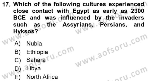 Introduction to World Civilization Dersi Ara Sınavı Deneme Sınav Soruları 17. Soru