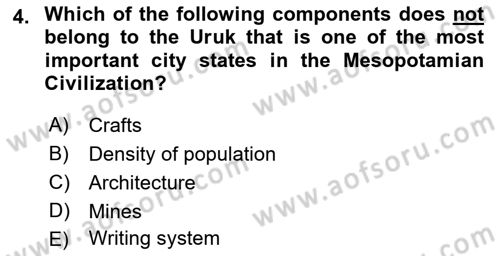 Introduction to World Civilization Dersi Ara Sınavı Deneme Sınav Soruları 4. Soru