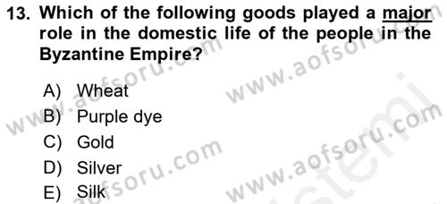 Introduction to World Civilization Dersi 2018 - 2019 Yılı (Final) Dönem Sonu Sınav Soruları 13. Soru