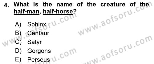 Introduction to World Civilization Dersi 2018 - 2019 Yılı (Final) Dönem Sonu Sınav Soruları 4. Soru