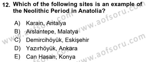 Introduction to World Civilization Dersi 2018 - 2019 Yılı Yaz Okulu Sınav Soruları 12. Soru
