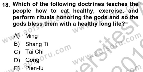 Introduction to World Civilization Dersi 2018 - 2019 Yılı Yaz Okulu Sınav Soruları 18. Soru