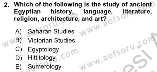 Introduction to World Civilization Dersi 2018 - 2019 Yılı Yaz Okulu Sınav Soruları 2. Soru