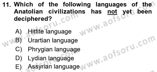 Introduction to World Civilization Dersi 2019 - 2020 Yılı (Vize) Ara Sınav Soruları 11. Soru