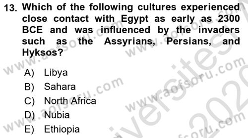 Introduction to World Civilization Dersi Ara Sınavı Deneme Sınav Soruları 13. Soru