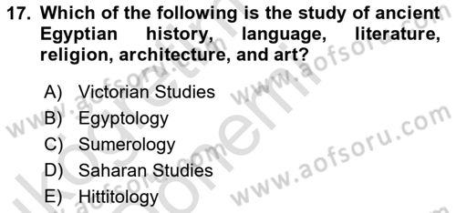 Introduction to World Civilization Dersi Ara Sınavı Deneme Sınav Soruları 17. Soru