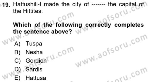 Introduction to World Civilization Dersi 2019 - 2020 Yılı (Vize) Ara Sınav Soruları 19. Soru